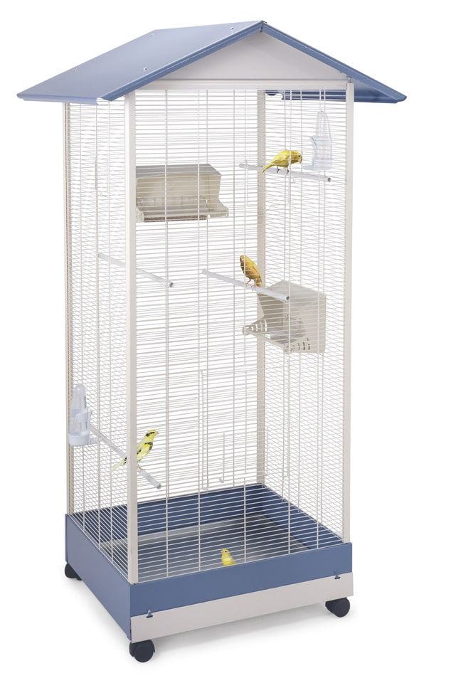 Imac Lobelia Aviary