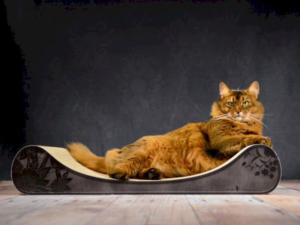Cat-On Le Divan Scratcher - Flowers On Purple