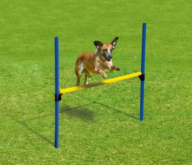 Thumbnail: Karlie Fun Agility Starter Set