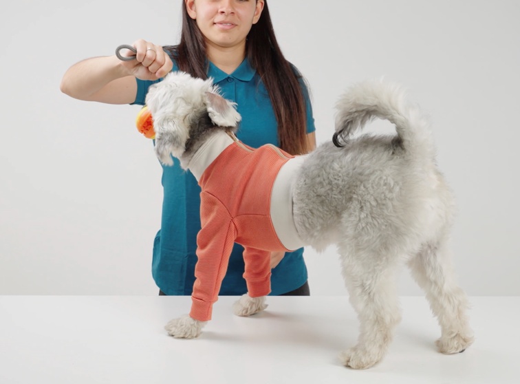 Thumbnail: Luna & Milo Copper Body Recovery Suit – Front Legs