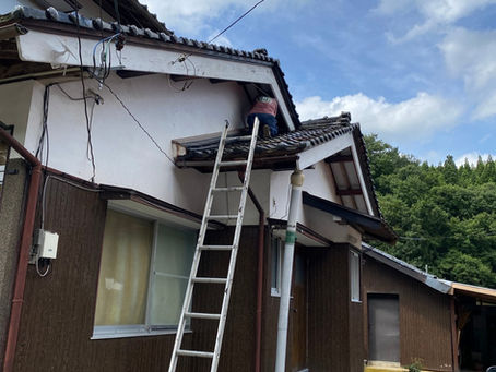 イタチ屋根裏侵入予防対策