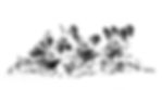 CFA 10 copy.jpg