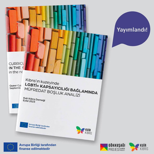 The Queer Cyprus Association Has Released the Research Titled “Curriculum Gap Analysis in The Context of LGBTI+ Inclusivity in the northern part of Cyprus."