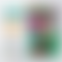 Monthly Talks - Aylık Sohbetler: Güzellik Algılarımız