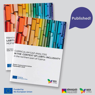 Curriculum Gap Analysis in The Context of LGBTI+ Inclusivity Report