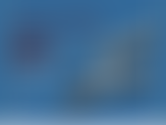 Sosyal Hizmet Servisi