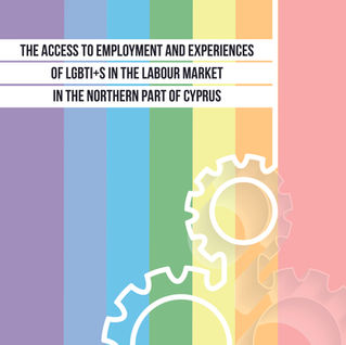 The Access to Employment and Experiences of LGBTI+s in the Labour Market in the Nothern of Cyprus