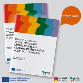 "Öğretmenlerin Cinsel Yönelim ve Cinsiyet Çeşitliliğine Yönelik Tutumları" araştırmasını yayınlandı