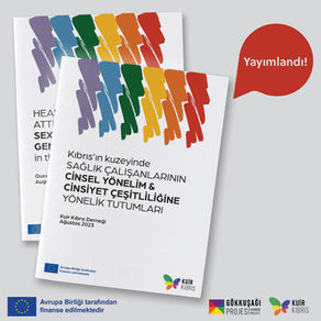 Sağlık Çalışanlarının Cinsel Yönelim ve Cinsiyet Çeşitliliğine Yönelik Tutumları Raporu