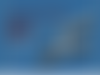 Social Welfare Service