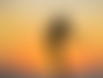 Light and Dark: Wholeness Lives in the In-Between