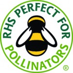 Bee friendly Wildflowers