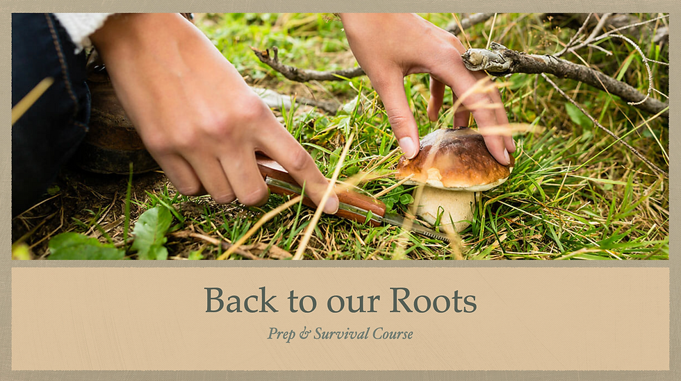Back to our Roots: Prep & Survival Course Intro