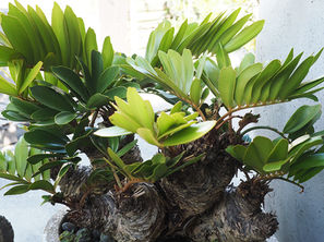 聖地［GREEN LOFT（グリーン・ロフト）］に学ぶ！これこそが、ザミア