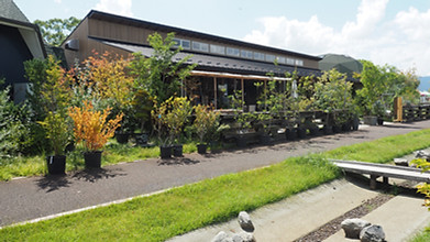 GREEN LOFT THE PARK（グリーン・ロフト・ザ・パーク）- 観葉植物