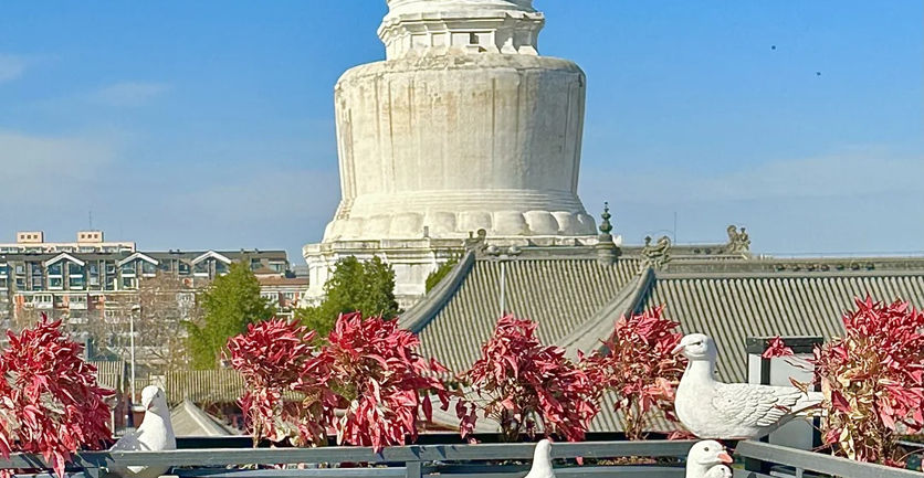 White Pagoda Temple (Miaoying Temple)