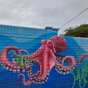 Ocean Creatures Murals