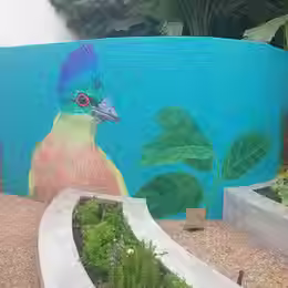 Murals