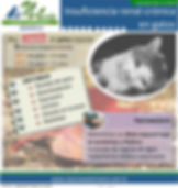 IRC - Naturia Veterinaria