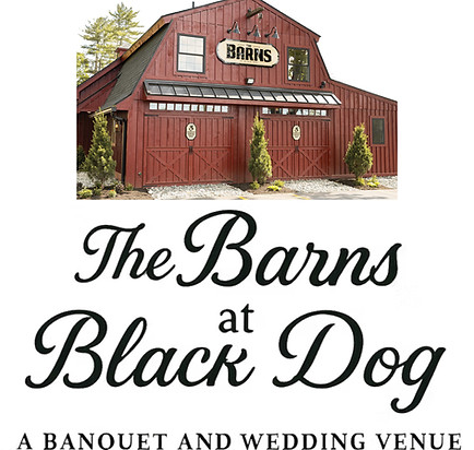 Barna Logo.jpg