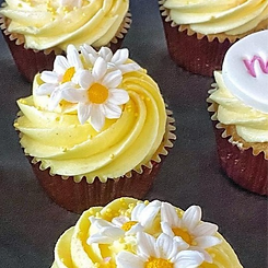 Yellow Cupcakes