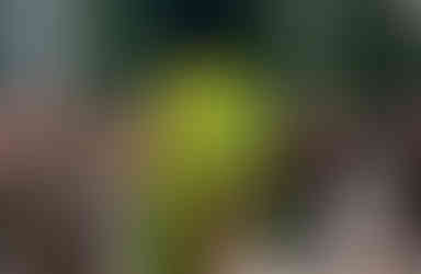 bottega ss26 runway menswear bag