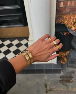 Image 23-12-2024 at 21.46 (1)