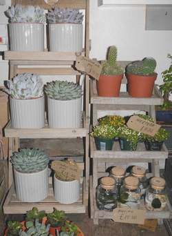 P1090207 Large_edited