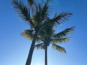 30c951da-0f0d-4d9a-a96c-b8f3a144f0d3.webp