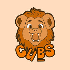 HFD Kids_CUBS.jpg