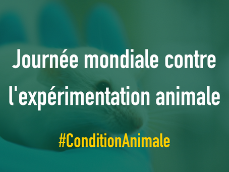 Les pouvoirs publics doivent s’engager pour une vraie transparence sur l’expérimentation animale