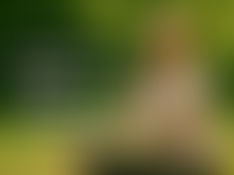 Renforcer son système immunitaire à Arles grâce à la naturopathie