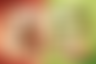 chute de cheveux hormonale et naturopathie à Arles