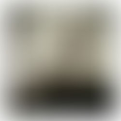 Hasnaa Yadallee: Poetry & Photography 