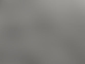 W/e 06/02/26 - GUV, The Molotovs, Softcult, Whitelands, The Pigeon Detectives