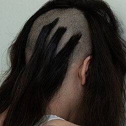 W/e 12/06/26 - Death Cab for Cutie, Liz Lawrence, HorsegiirL, Skrillex, Santana