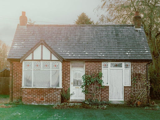 W/e 03/07/26 - Beth Orton, Exploring Birdsong, Muse, The Pretty Reckless, Kraftwerk