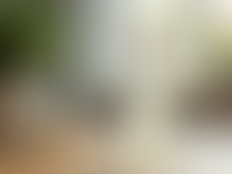 Experience Freshness: 100% Natural Ozone-Infused Products