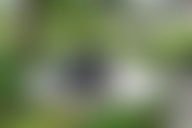 À descoberta do Queijo da Serra no Passeio de Todo Terreno em Celorico da Beira