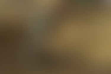 Mário Patrão, piloto de Seia é terceiro na “Maratona” do Dakar