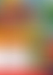 Celorico da Beira comemora Feriado Municipal