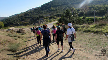 Caminhada Micológica em Celorico da Beira