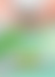 Celoricense Solidário em Torneio de Futsal Feminino