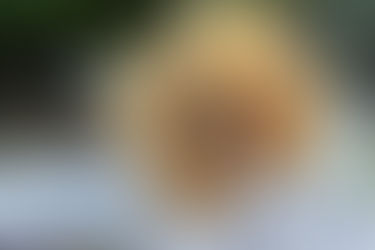 Prados recebe no próximo sábado o Festival da Castanha