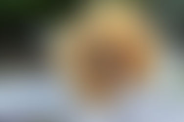 Prados recebe no próximo sábado o Festival da Castanha