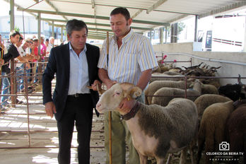 Feira de Santa Luzia e 4ª Mostra de Gado em Trancoso