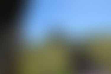 2ª Caminhada entre Castelos -Linhares da Beira - Celorico da Beira