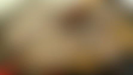 Lageosa do Mondego recebe a 9ª edição do Festival dos Petiscos