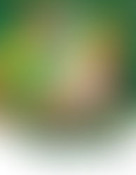 Get Lit Fort Lauderdale Riverwalk’s Holiday Kick Off Party