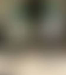 St. Patrick’s Day Parade Downtown Fort Lauderdale